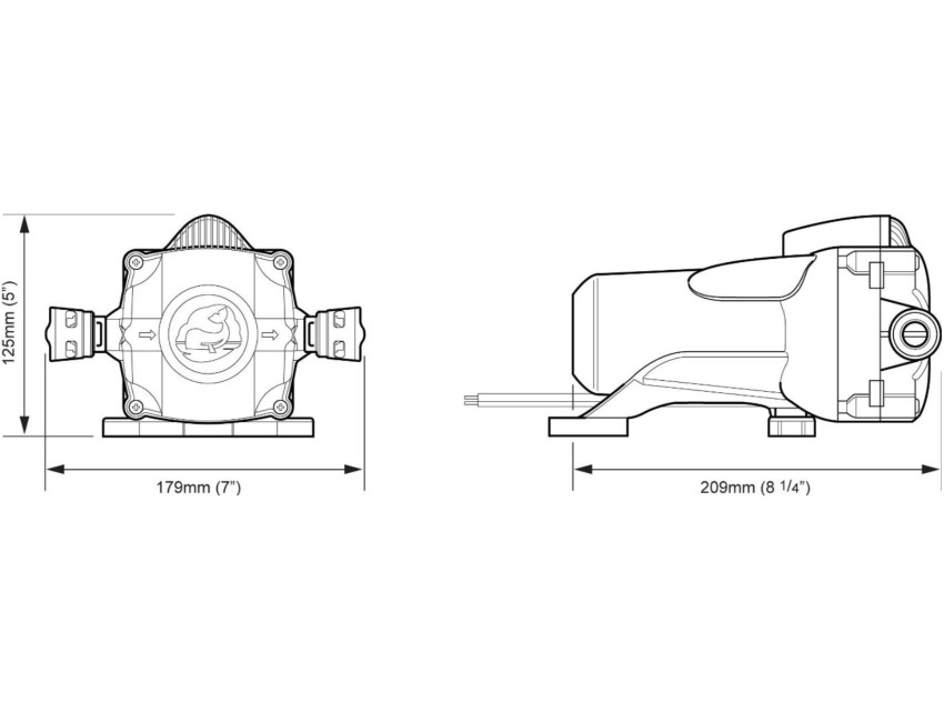 Whale Water Pump 8L 12V 30PSI + Strainer Watermaster Auto FW0814